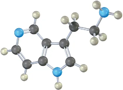 A ball-and-stick model of a large molecule with different functional groups. Black, grey, and blue spheres represent carbon, hydrogen, and nitrogen.