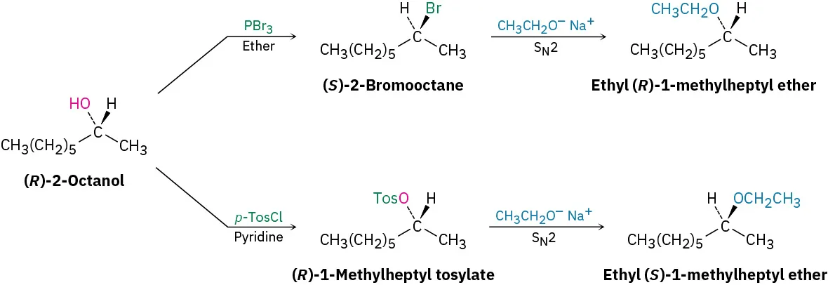 (R)-2-octanol reacts with phosphorus tribromide to form (S)-2-bromooctane. This reacts with sodium ethoxide forming ethyl (R)-1-methylheptyl ether. (R)-2-octanol reacts with para-tosylchloride to form (R)-1-methylheptyl tosylate that forms ethyl (S)-1-methylheptyl ether.