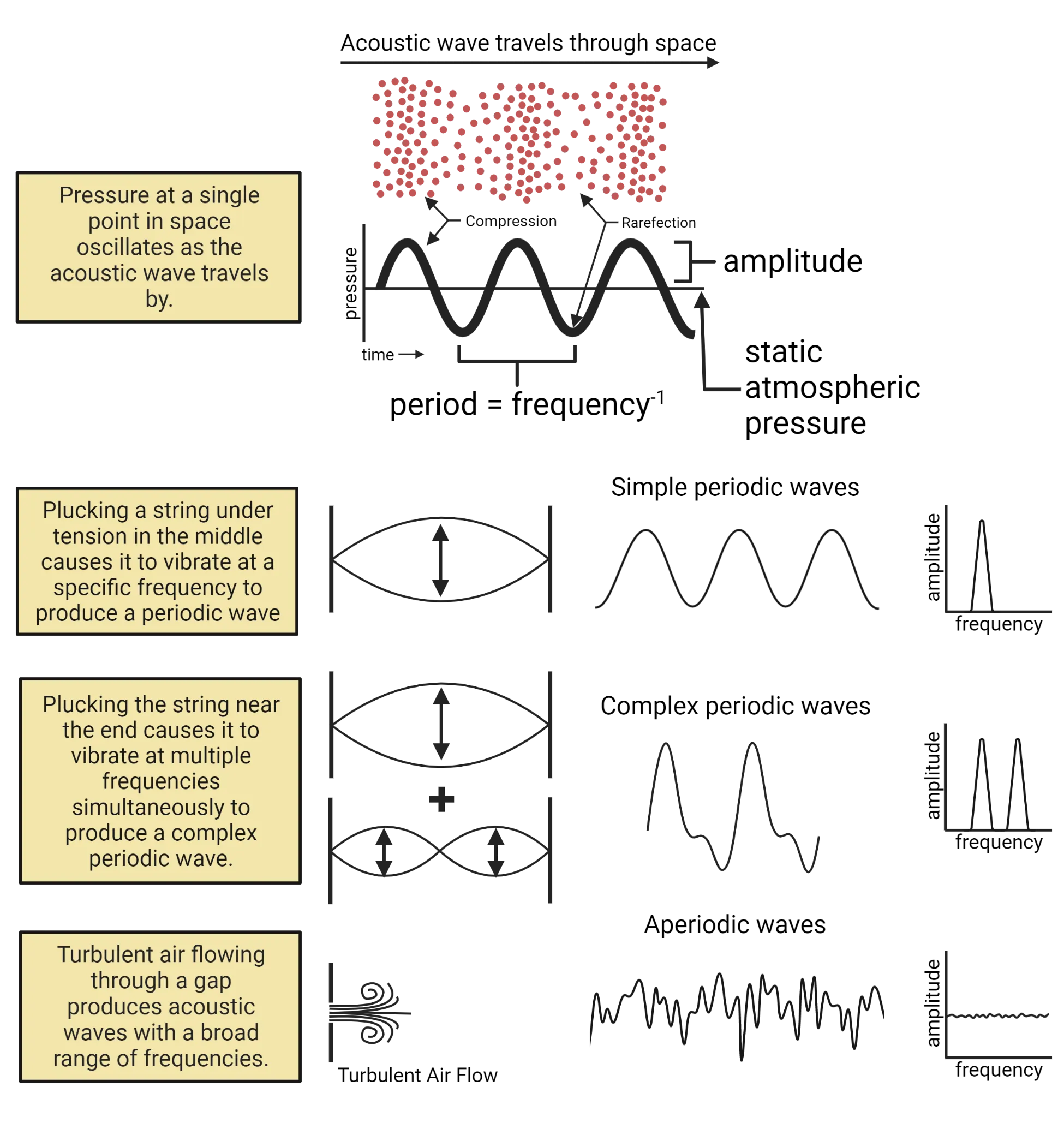 Top row: Sound pressure waves represented as dots of varying density. Below is a line graph of a sound wave with key features labeled: amplitude, period, pressure, time. 2nd row: Left: Image of string oscillating when held at each end. Middle: line drawing of a simple period wave. Right: Line graph of amplitude vs frequency of that simple wave. 3rd row: Left: Image of string oscillating when held at each end plus another separate string which is held at each end and also in the middle. Middle: line drawing of a complex periodic wave. Right: Line graph of amplitude vs frequency of that complex wave. 4th row: Left: Line drawing of turbelent air flow Middle: line drawing of an aperiodic wave. Right: Line graph of amplitude vs frequency of that aperiodic wave.