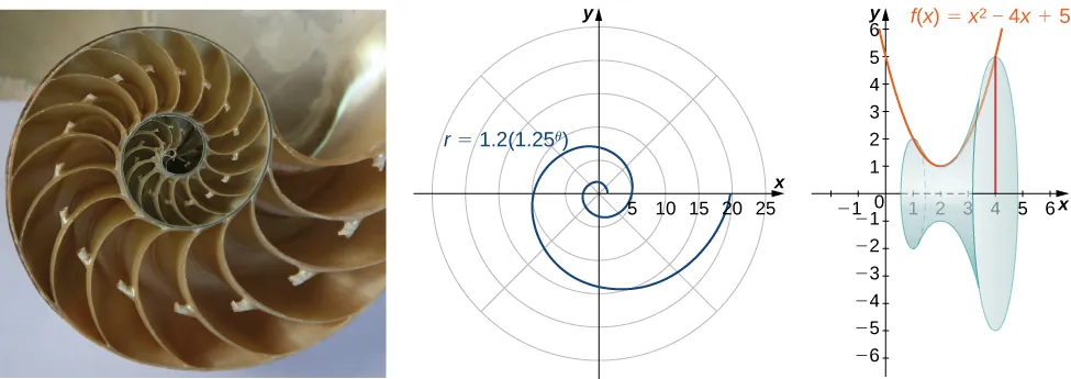 A nautilus shell, a logarithmic spiral graph (r = 1.2(1.25^θ)) in polar coordinates, and a 3D shaded visualization of the area under the quadratic function f(x) = x^2 - 4x + 5.