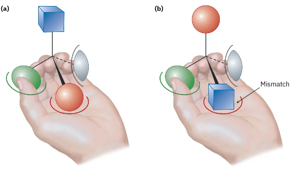 A hand on left holds chiral molecule with a cube above the palm. Hand on right shows enantiomer with the cube on palm, labeled mismatch.