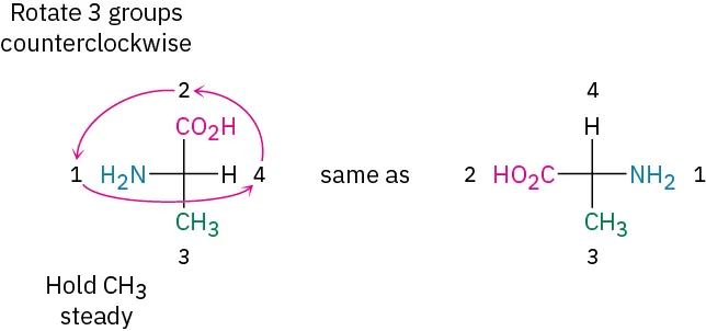 Fischer projection of  an a alanine. Holding the C H 3 group steady and rotating the other three groups counterclockwise yields the same enantiomer and does not change the stereochemistry.