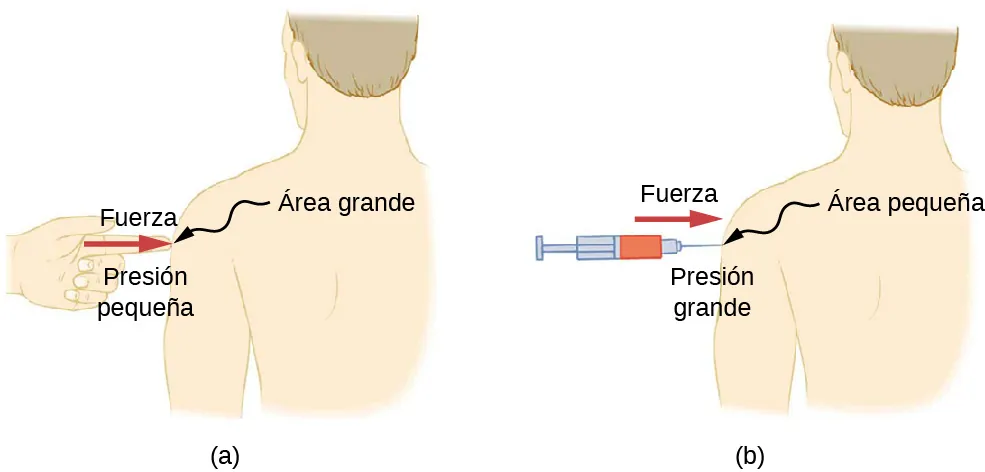 La figura A es un dibujo de una persona pinchada con un dedo en el hombro. La fuerza del dedo se muestra ocupando un área mayor, que produce solo una pequeña cantidad de presión. La figura B es un dibujo de una persona pinchada con una jeringa con aguja en el hombro. La fuerza de la jeringa se muestra ocupando un área más pequeña, lo que produce una gran cantidad de presión.