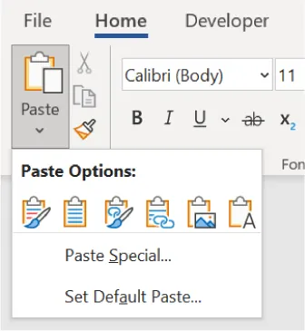 Options available in Word Paste: Keep Source Formatting, Use Destination Styles, Link & Keep Source Formatting, Link & Use Destination Styles, Picture, Text Only, Paste Special, and Set Default Paste.