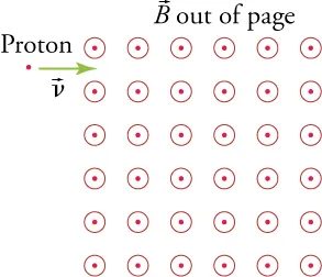 A proton dot enters (green arrow) a magnetic field (depicted as circles with dots).