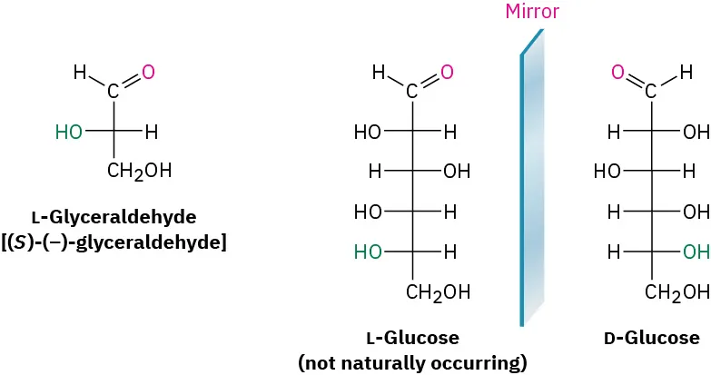 The structure of L-glyceraldehyde or (S)-(-)-glyceraldehyde. A mirror is placed after the structure of L-glucose. D-glucose is the mirror image of L-glucose (not naturally occurring).