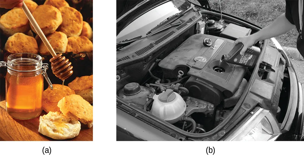 Two photographs are shown and labeled “a” and “b.” Photo a shows a jar of honey with a dipper drizzling it onto a biscuit. More biscuits are shown in a basket in the background. Photo b shows the engine of a car and a person adding motor oil to the engine.