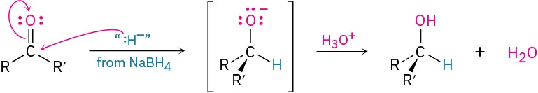 Hydride from sodium borohydride adds to the carbonyl of ketone forming an alkoxide intermediate where O carries a negative charge. Further hydrolysis of the intermediate gives secondary alcohol and water.