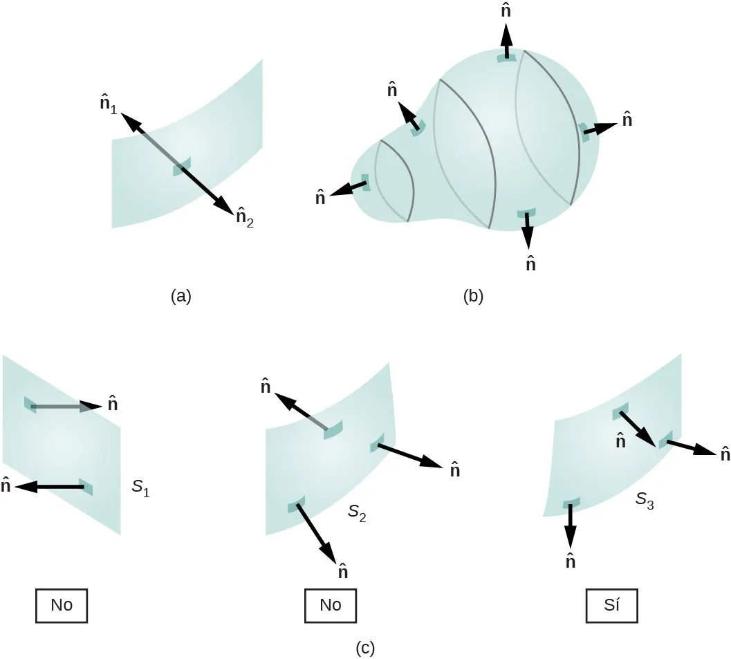 La figura a muestra una superficie rectangular curva. Dos flechas parten de un punto en su centro y apuntan en direcciones opuestas. Ambas son perpendiculares a la superficie. Están marcadas como vector n 1 y vector n 2. La figura b muestra una superficie tridimensional con forma de bombilla. Hay cinco flechas marcadas como vector n, que se originan en varios puntos de la superficie y apuntan hacia afuera, perpendicularmente a la superficie. La figura c muestra tres superficies rectangulares marcadas S1, S2 y S3. Dos flechas marcadas con vector n son perpendiculares a S1 y apuntan en direcciones opuestas. Tres flechas marcadas con vector n son perpendiculares a S2, una de ellas apunta en dirección opuesta a las otras dos. Hay tres flechas perpendiculares a S3. Todos apuntan hacia el exterior desde el mismo lado de la superficie.