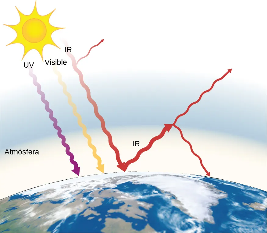 En la figura se muestra la luz ultravioleta (UV), infrarroja (IR) y visible del Sol que incide en la Tierra a través de su atmósfera. De estas, solo se refleja la IR.