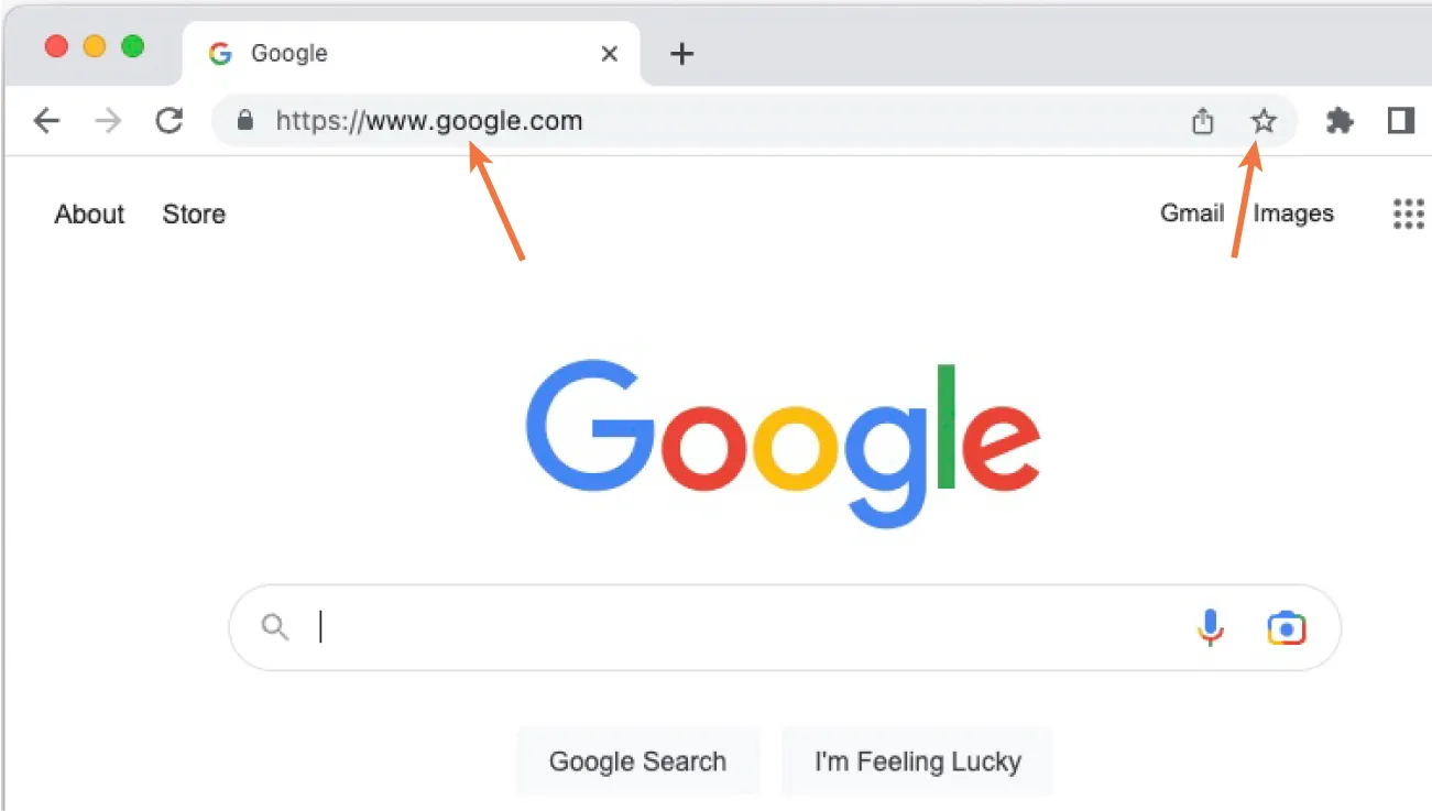 www.google.com is visible in the navigation bar. A blank star in the upper right corner. “Google” is in the middle of the page. A blank search bar is open in the middle.