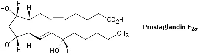 The wedge-dash structure of Prostaglandin F 2 alpha.