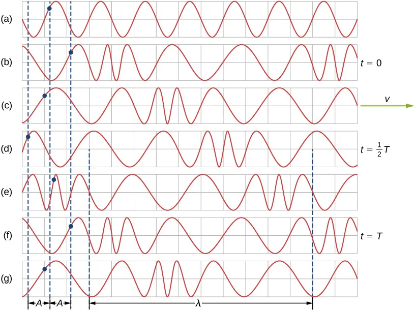Rysunki od a do g pokazują różne etapy fali podłużnej, biegnącej wzdłuż sprężyny. Granatowa kropka odpowiada interesującemu nas punktowi sprężyny. Punkt ten przemieszcza się z lewa na prawo, gdy fala przemieszcza się na prawo. Rysunek b przedstawia kształt fali w chwili t=0, interesujący nas punkt leży na prawo od położenia równowagi. Na rysunku d, w chwili t równej połowie T, punkt znajduje się na lewo od położenia równowagi. Na rysunku f, w chwili t=T, punkt znowu leży na prawo od położenia równowagi. Odległość między położeniem równowagi a ekstremalnym położeniem kropki po jego lewej lub po prawej stronie jest taka sama i wynosi A. Odległość pomiędzy dwoma najbliższymi identycznymi punktami fali wynosi lambda.