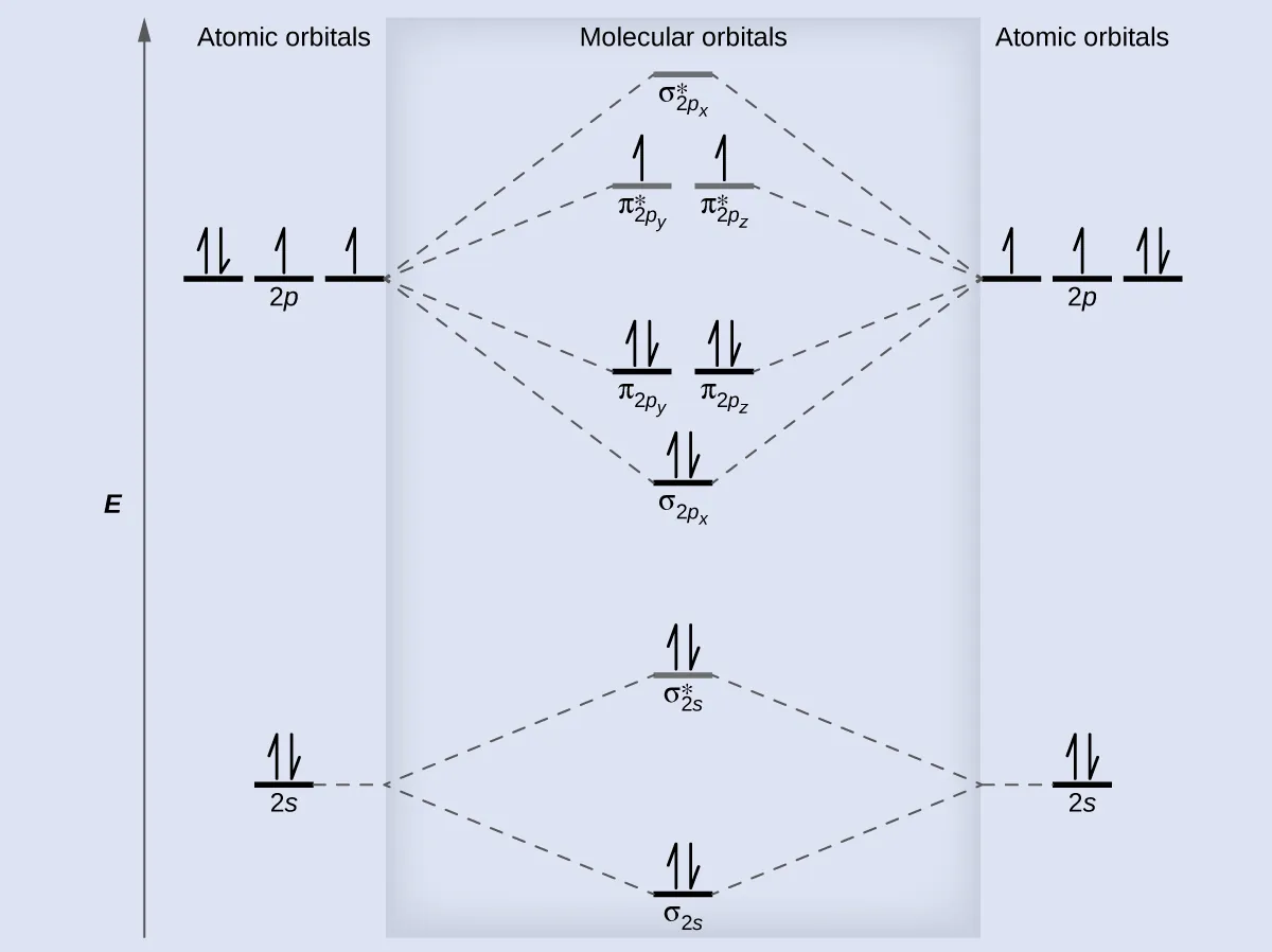 A diagram is shown that has an upward-facing vertical arrow running along the left side labeled, “E.” At the bottom center of the diagram is a horizontal line labeled, “sigma subscript 2 s,” that has two vertical half arrows drawn on it, one facing up and one facing down. This line is connected to the right and left by upward-facing, dotted lines to two more horizontal lines, each labeled, “2 s,” and with two vertical half arrows drawn on them, one facing up and one facing down. These two lines are connected by upward-facing dotted lines to another line in the center of the diagram, but farther up from the first and labeled, “sigma subscript 2 s superscript asterisk.” This horizontal line has two vertical half-arrow drawn on it, one facing up and one facing down. Moving further up the center of the diagram is a horizontal line labeled, “sigma subscript 2 p subscript x,” which lies below two horizontal lines, lying side-by-side, and labeled “pi subscript 2 p subscript y,” and “pi subscript 2 p subscript z.” Both the bottom and top lines are connected to the right and left by upward-facing, dotted lines to three more horizontal lines, each labeled, “2 p,” on either side. These sets of lines each hold three upward-facing and one downward-facing half-arrow. They are connected by upward-facing dotted lines to another single line and then pair of double lines in the center of the diagram, but farther up from the lower lines. They are labeled, “sigma subscript 2 p subscript x superscript asterisk,” “pi subscript 2 p subscript y superscript asterisk,” and “pi subscript 2 p subscript z superscript asterisk,” respectively. The lower of these two central, horizontal lines each contain one upward-facing half-arrow. The left and right sides of the diagram have headers that read, ”Atomic orbitals,” while the center header reads, “Molecular orbitals.”