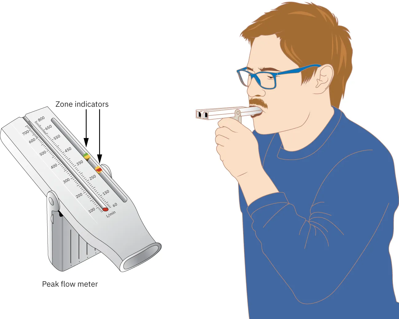 Diagram showing person using peak flow meter along with enlarged image of peak flow meter with zone indicators marked.
