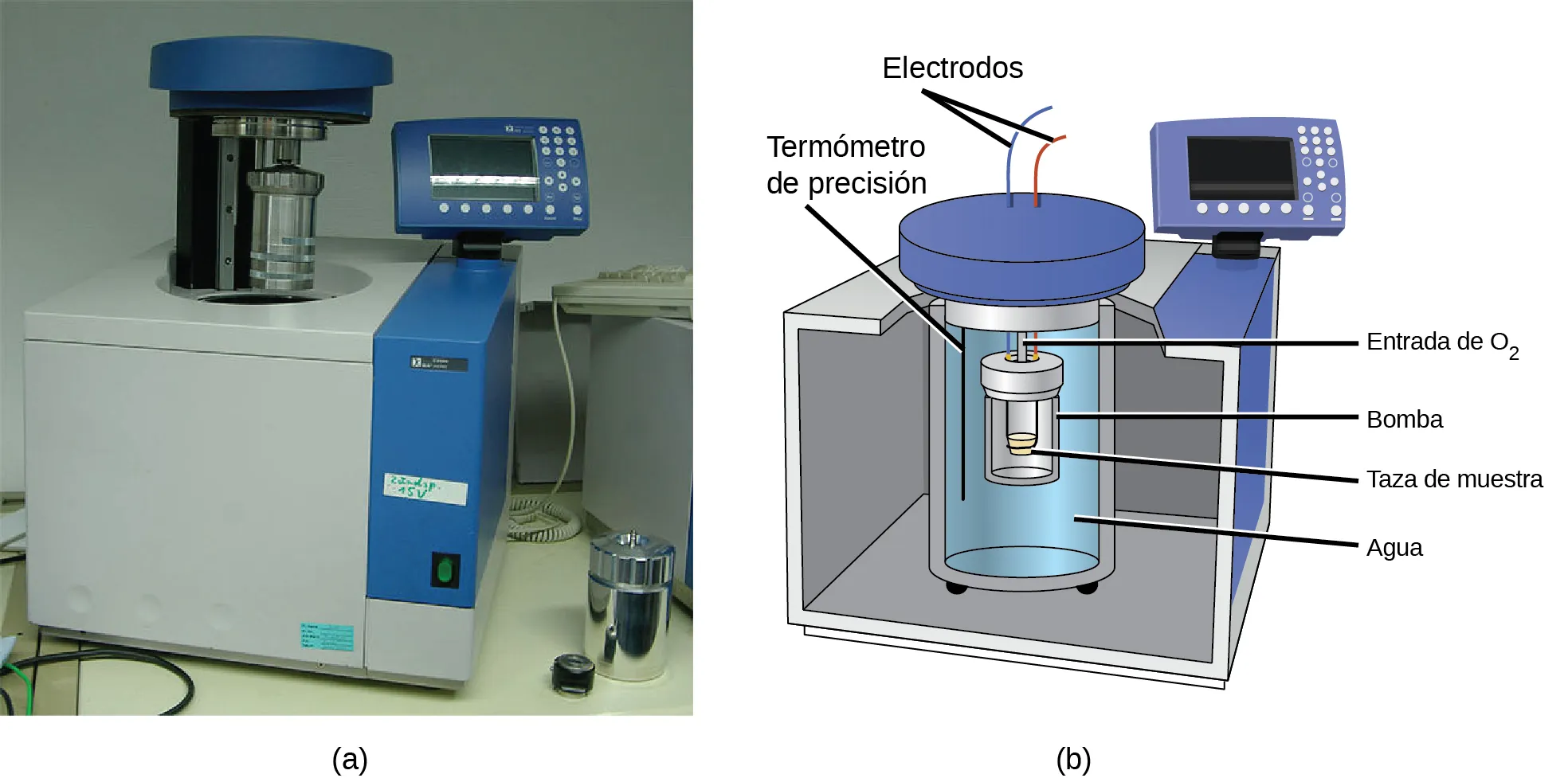Se muestran una imagen y un diagrama, etiquetados como a y b, respectivamente. La imagen a representa un calorímetro de bomba. Se trata de una máquina en forma de cubo con una cavidad en la parte superior, un cilindro metálico que está por encima de la cavidad y un panel de lectura fijado en la parte superior derecha. El diagrama b representa la figura recortada de un cubo con un recipiente cilíndrico lleno de agua en el centro. Otro recipiente, etiquetado como "bomba", se encuentra dentro de un cilindro más pequeño que contiene un vaso de muestras y está anidado en el recipiente cilíndrico rodeado por el agua. Una línea negra se extiende en el agua y está etiquetada como "Termómetro de precisión". Dos cables etiquetados como "Electrodos" se extienden desde una tapa que se encuentra en la parte superior del contenedor interior. En la parte superior derecha del cubo hay un panel de lectura.