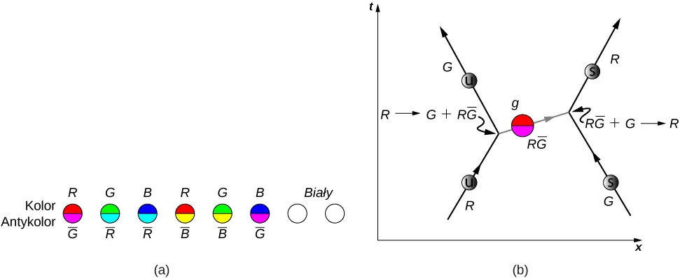 Na rysunku a widzimy osiem kulek ułożonych w rzędzie. Dwie ostatnie kulki są białe. Górne i dolne połówki pozostałych sześciu są różnego koloru. Górne połówki są oznaczone jako Kolor, a dolne jako Antykolor. Kolory górnych i dolnych połówek kolejnych kulek i ich oznaczenia są następujące: czerwony R i magenta G z kreską, zielony G i cyjan R z kreską, niebieski B i cyjan R z kreską, czerwony R i żółty B z kreską, zielony G i żółty B z kreską, niebieski B i magenta G z kreską. Rysunek b jest schematycznym wykresem t od x. Strzałka skierowana do góry w prawo oznaczona R przechodzi w strzałką oznaczoną G biegnącą do góry w lewo. Punkt styku opisano jak reakcję R przechodzi w G plus RG-z-kreską. Z punktu styku wychodzi strzałka z naniesioną kulką oznaczoną g i RG-z-kreską o kolorach: czerwony u góry i magenta na dole. Dochodzi ona do punktu styku dwóch strzałek: strzałka G dochodzi od dołu z prawej strony, a strzałka R wychodzi do góry w prawo. Punkt styku oznaczono jak reakcję RG-z-kreską plus R przechodzi w R.