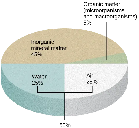 Illustration shows a pie graph that outlines the composition of soil. Forty-five percent is inorganic mineral matter, 25 percent is water, 25 percent is air, and 5 percent is organic matter, including microorganisms and macroorganisms.