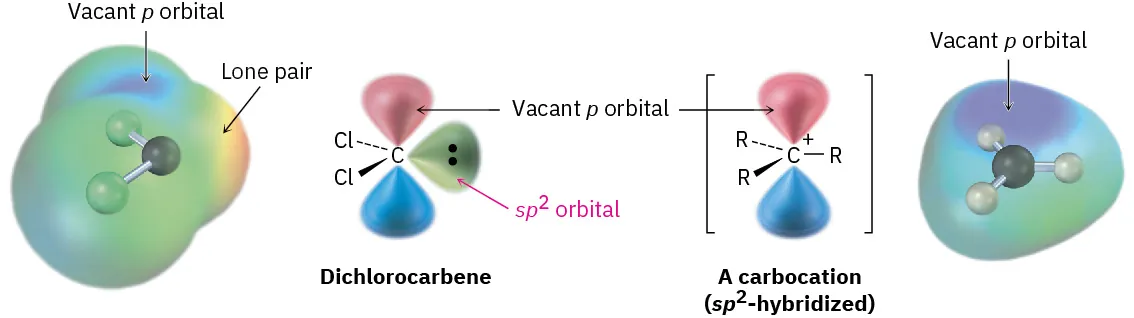 The figure shows electrostatic potential maps and structures of dichlorocarbene and a carbocation (s p 2-hybridized). The vacant p orbital is labeled in each structure.