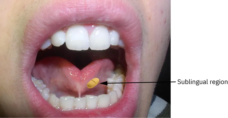 A photograph shows medication being administered under tongue with sublingual region labeled.