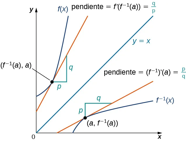 Este gráfico muestra una función f(x) y su inversa f-1(x). Estas funciones son simétricas respecto a la línea y = x. La línea tangente de la función f(x) en el punto (f-1(a), a) y la línea tangente de la función f-1(x) en (a, f-1(a)) son también simétricas respecto a la línea y = x. En concreto, si la pendiente de una fuera p/q, entonces la pendiente de la otra sería q/p. Por último, sus derivadas también son simétricas respecto a la línea y = x.