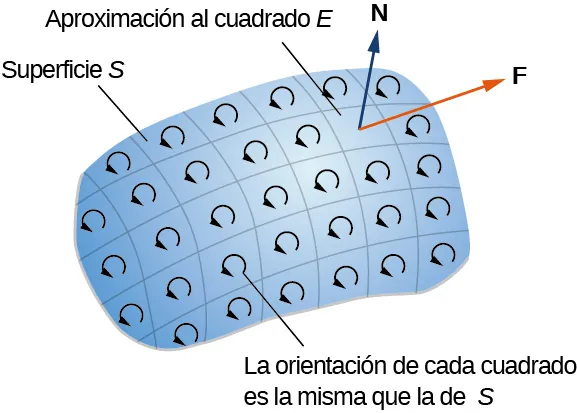 Un diagrama de una superficie S seccionada en pequeños trozos en una cuadrícula (son lo suficientemente pequeños para ser aproximados por un cuadrado E). La orientación de cada cuadrado es la misma que la de S, mostrada con flechas en sentido contrario a las agujas del reloj en cada cuadrado... Los vectores N y F se dibujan saliendo de un cuadrado.