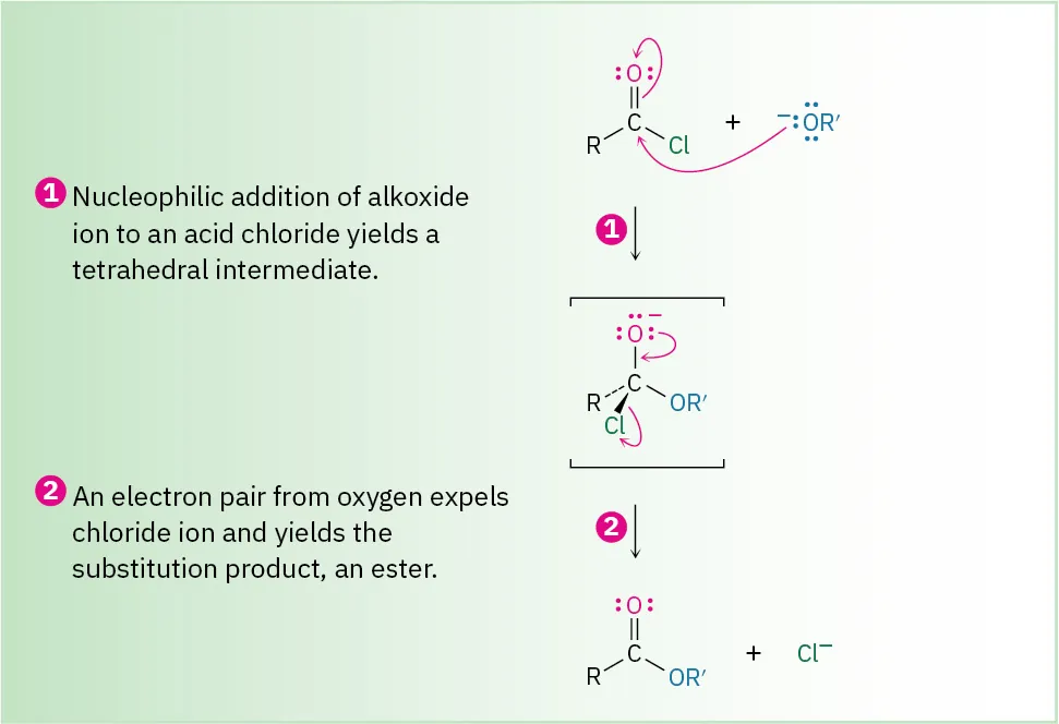 An alkoxide ion adds to an acid chloride, forming a tetrahedral intermediate, which then leads to the substitution of a chloride ion with oxygen, resulting in an ester product.