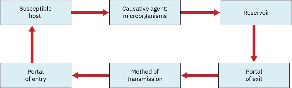 Stages in the chain of infection: Susceptible host, Causative agent: microorganisms, Reservoir, Portal of exit, Method of transmission, Portal of entry