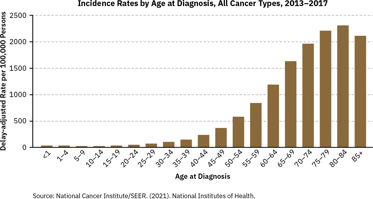 Graph displaying Incidence Rates by Age at Diagnosis for all Cancer Types (2013-2017). Rates are low at age 0 to 24, then rise steadily until age 84, with a small decline at 85+.