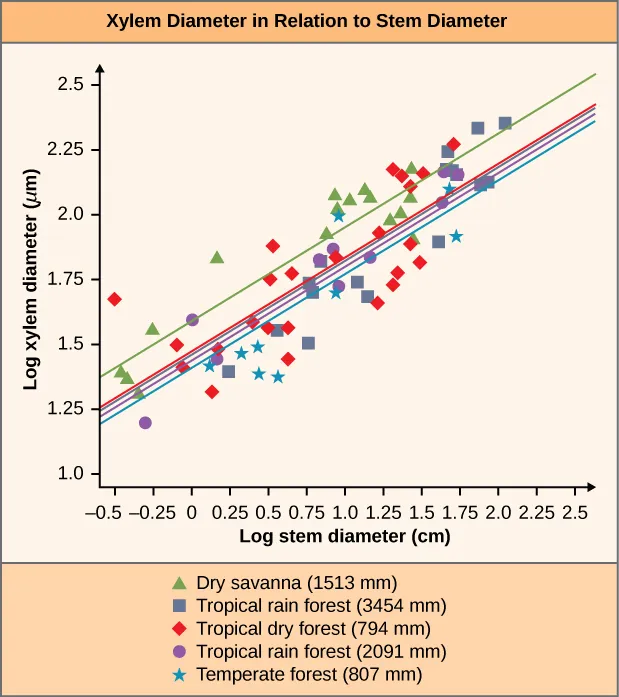 Chart is titled “Xylem Diameter in Relation to Stem Diameter”. The vertical axis is titled log xylem diameter (mu m) measured from 1.0 to 2.5 in increments of .25. The horizontal axis is labeled log stem diameter (cm) measured from -.5 to 2.5 in increments of .25. Dry savannah (1513 mm), represented by a green triangle, has data spread throughout the graph, with its mean line running from -.5 log stem diameter, 1.35 log xylem diameter to 2.5 log stem diameter, 2.5 log xylem diameter. Tropical rain forest (3454 mm) represented by a blue square has data spread throughout the graph, with its mean line running from -.5 log stem diameter, 1.25 log xylem diameter to 2.5 log stem diameter, 2.35 log xylem diameter. Tropical dry forest (794 mm), represented by a red diamond, has data scattered throughout the graph, with its mean line running from -.5 log stem diameter, 1.25 log xylem diameter to 2.5 log stem diameter, 2.35 log xylem diameter. Tropical rain forest (2091 mm), represented by a purple circle, has data scattered throughout the graph, with its mean line running from -.5 log stem diameter, 1.24 log xylem diameter to 2.5 log stem diameter to 2.34 log xylem diameter. Temperate forest (807 mm), represented by a blue star, has data scattered throughout, with its mean line running from -.5 log stem diameter, 1.22 log xylem diameter to 2.5 log stem diameter, 2.32 log xylem diameter.