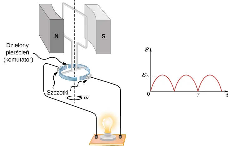 Rysunek przedstawia perspektywiczny widok prostokątnej, pionowej ramki. Ramka obraca się wokół swej osi symetrii, leżącej w jej płaszczyźnie – z prędkością kątową omega, przeciwnie do ruchu wskazówek zegara. Oś obrotu ramki jest równoległa do jej dłuższego boku. Ramka znajduje się pomiędzy biegunami magnesu. Biegun północny tegoż magnesu znajduje się po lewej stronie przewodzącej pętli, biegun południowy – po jej prawej stronie. Wzdłuż osi obrotu ramki, w dolnej części rysunku - biegną doprowadzenia ramki. Każde z doprowadzeń ramki podłączone jest do oddzielnej połówki niewielkiego, dzielonego pierścienia. Środek tego pierścienia znajduje się na osi obrotu pętli. Do bocznych powierzchni obu połówek pierścienia przylegają szczotki. Do szczotek podłączona jest świecąca żarówka. Obok opisanego rysunku znajduje się wykres siły elektromotorycznej epsilon, generowanej w ramce – w funkcji czasu t. Wykres przedstawia sinusoidę, której wszystkie połówki są dodatnie. Na wykresie tym zaznaczone są maksymalne wartości siły elektromotorycznej, równe epsilon z indeksem zero. Zaznaczony jest także okres T przebiegu. Litera T zaznaczona jest na osi czasu w punkcie, w którym druga, odwrócona względem osi czasu połówka sinusoidy – osiąga wartość zerową.