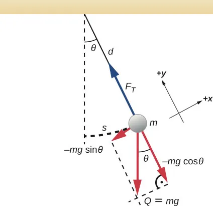 Na rysunku widać poziomą belkę. Nić o długości L zwisa z niej pod kątem theta na prawo od pionu. Pion zaznaczono przerywaną linią biegnącą od punktu przyczepu nici do belki. Do wolnego końca nici przytwierdzono ciężarek o masie m. Kąt między ciężarkiem a pionem zaznaczono kolejną przerywaną linią i ma on długość s. Wzdłuż nici w kierunku belki zaznaczono czerwoną strzałkę pokazującą czas T oscylacji ciężarka. Obok ciężarka pokazano układ współrzędnych, w którym oś y jest zgodna z osią nici a jej zwrot wskazuje punkt obrotu, zaś oś x jest styczna do łuku i ma zwrot przeciwny do punktu równowagi. Niebieska strzałka biegnąca wzdłuż nici od ciężarka do punktu obrotu została oznaczona jako F sub T. Czerwona strzałka biegnąca od ciężarka w dół została oznaczona jako w = m g. Czerwoną strzałkę styczną do łuku i biegnącą w kierunku punktu równowagi w kierunku minus x oznaczono minus m g sinus theta. Czerwona strzałka biegnąca na przedłużeniu nici, pod kątem theta względem pionu została oznaczona jako minus m g cosinus theta.