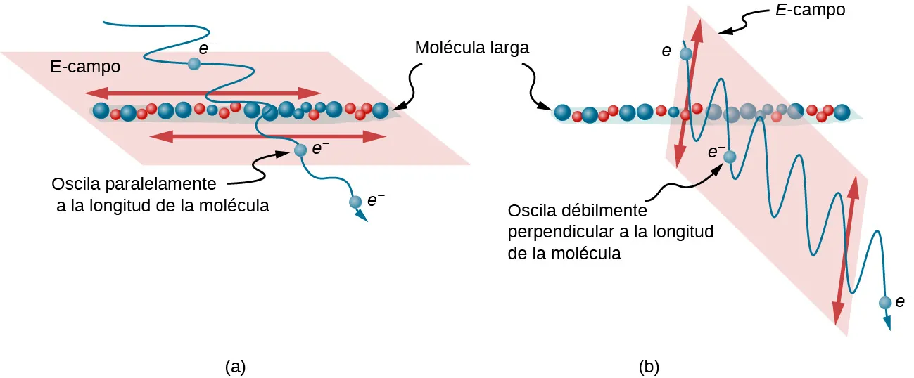La figura a muestra el dibujo de una molécula larga. Una onda electromagnética atraviesa la molécula. La dirección de propagación de la onda es perpendicular al eje molecular y las oscilaciones de la onda son paralelas al eje molecular. Los electrones oscilan en paralelo a la longitud de la molécula. Después de pasar la molécula larga, la amplitud de las oscilaciones de la onda se reduce considerablemente. La figura b muestra un dibujo similar, excepto que la onda oscila perpendicularmente al eje de la molécula larga. Los electrones oscilan débilmente de forma perpendicular a la longitud de la molécula. Después de pasar la molécula larga, la magnitud de la oscilación de la onda EM no cambia.