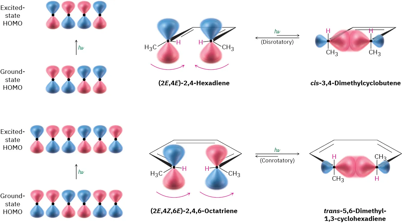 Conjugated dienes and trienes undergoing photochemical cyclization. (2E,4E)-2,4-hexadiene reacts with light through disrotation to form cis-3,4-dimethylcyclobutene. (2E,4Z,6E)-2,4,6-octatriene reacts with light through conrotation to form trans-5,6-dimethyl-1,3-cyclohexadiene.
