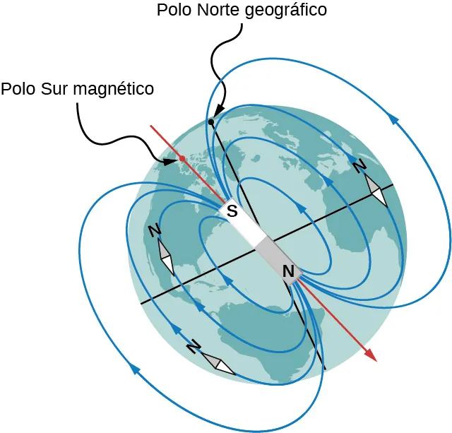Una ilustración del campo magnético de la Tierra. El eje magnético está ligeramente inclinado con respecto al eje de rotación. El extremo del modelo de imán cercano al polo norte geográfico es un polo sur (S), pero la ubicación del eje magnético en la superficie terrestre más cercana al polo norte geográfico se llama Polo Norte Magnético. Las líneas de campo forman bucles que salen del polo norte del imán (cerca del polo sur geográfico de la Tierra) y entran en el polo sur del imán (cerca del norte geográfico de la Tierra). Las brújulas colocadas en el campo se alinean con las líneas del campo y apuntan al norte.
