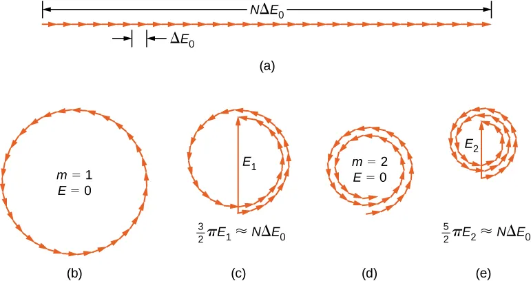 La figura a muestra 30 fasores en una línea de longitud N delta E subíndice 0. La longitud de un fasor es delta E subíndice 0. La figura b muestra un círculo con fasores que apuntan en el sentido contrario a las agujas del reloj. Esto es marcado como m igual a 1, E igual a 0. La figura c muestra los fasores a lo largo de un círculo. Empiezan desde abajo y dan una vuelta y media al círculo en sentido contrario a las agujas del reloj. Una flecha desde el punto inicial hasta el punto final está marcada como E1. Forma un diámetro del círculo. La figura c está marcada como 3 por 2 pi E1 igual a N delta E0. La figura d muestra los fasores a lo largo de un círculo. Empiezan desde abajo y dan dos vueltas al círculo en sentido contrario a las agujas del reloj. La figura está marcada como m igual a 2, E igual a 0. La figura e muestra los fasores a lo largo de un círculo. Empiezan desde abajo y dan dos vueltas y media al círculo en sentido contrario a las agujas del reloj. Una flecha desde el punto inicial hasta el punto final está marcada como E2. Forma un diámetro del círculo. La figura c está marcada como 5 por 2 pi E2 igual a N delta E0.