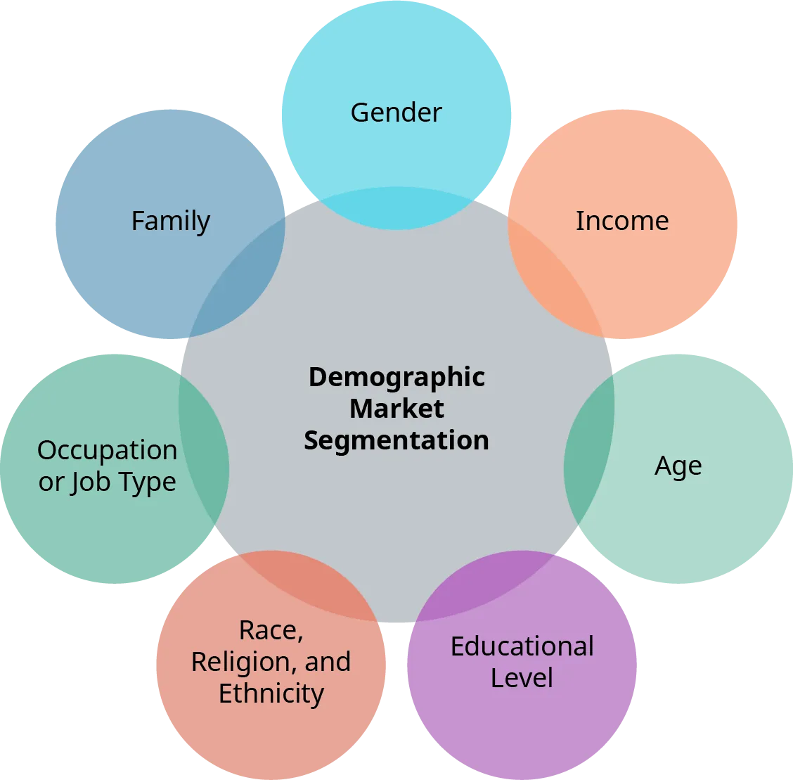 The different parameters of demographic market segmentation are shown as circles around a larger circle. These parameters include gender; income; age; educational level; race, religion, and ethnicity; occupation or job type; and family.