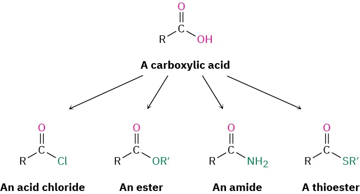 A set of carboxylic acid derivatives, with arrows from a generic carboxylic acid pointing toward each of acid chloride, ester, amide, and thioester.