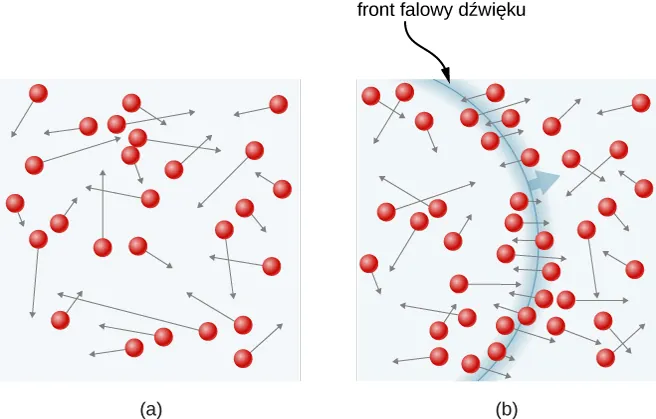 W pierwszej części rysunku a kulki przedstawiające molekuły rozprzestrzeniają się w gazie. Strzałki reprezentują wektory ich prędkości. Lokalizacja molekuł oraz ich wartości prędkości, a także kierunki są przypadkowe. W części b rysunku, łuk reprezentuje czoło fali dźwiękowej w gazie. Prędkości molekuł w pobliżu łuku są w przybliżeniu pionowe do łuku, a zatem równolegle do kierunku propagacji fali. 