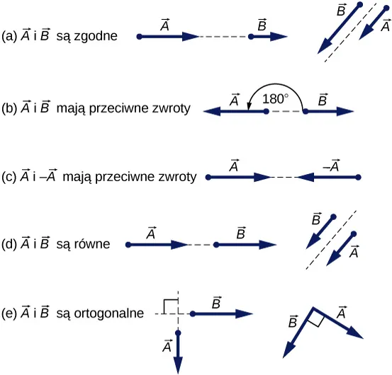 Rysunek a: dwa przykłady wektorów zgodnych. W pierwszym wektor A i wektor B znajdują się w tej samej linii, jeden za drugim. Wektor A jest dłuższy niż wektor B. W drugim punkty początkowe wektora A i B znajdują się obok siebie. Wektor A jest krótszy od wektora B. Rysunek b: Wektory o przeciwnych zwrotach. Wektor A ma zwrot w lewo i jest dłuższy niż wektor B, który ma zwrot w prawo. Kąt między nimi jest równy 180 stopni. Rysunek c: Wektor A o zwrocie przeciwnym do wektora minus A. A ma zwrot w prawo, -A ma zwrot w lewo. Oba wektory maja tę samą długość. Rysunek d: Dwa przykłady wektorów równych. W pierwszym wektory A i B znajdują się w tej samej linii, jeden za drugim i mają tę samą długość. W drugim A i B są równoległe, a ich punkty początkowe znajdują się obok siebie. Wektory te mają tę samą długość. Rysunek e: Dwa przykłady wektorów ortogonalnych. W pierwszym A ma zwrot w dół, a B w prawo. Oba wektory mają tę samą długość, a kąt między nimi jest równy 90 stopni. W drugim wektory narysowane są po skosie. A ma zwrot w dół i w prawo, natomiast B w dół i w lewo. Oba wektory mają tę samą długość, a kąt między nimi jest równy 90 stopni.