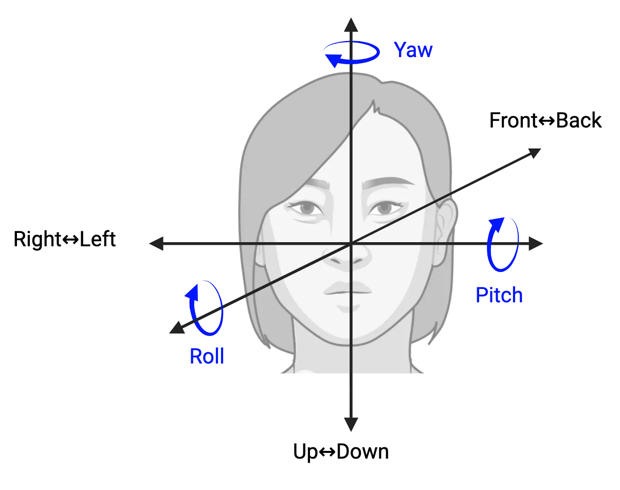Motion of a person's head in three linear directions (right-left, front-back, up-down) and three angular directions (roll, yaw, pitch) is shown on three axes.