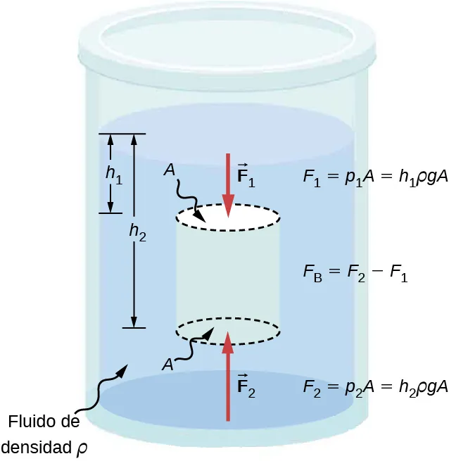 La figura es un dibujo esquemático del cilindro lleno de fluido y abierto a la atmósfera por un lado. Se sumerge en el fluido un objeto imaginario cuya superficie A es menor que la superficie del cilindro. La distancia entre la parte superior del fluido y la parte superior del objeto es h1. La distancia entre la parte superior del fluido y la parte inferior del objeto es h2. Las fuerzas F1 y F2 se aplican a las partes superior e inferior del objeto, respectivamente.