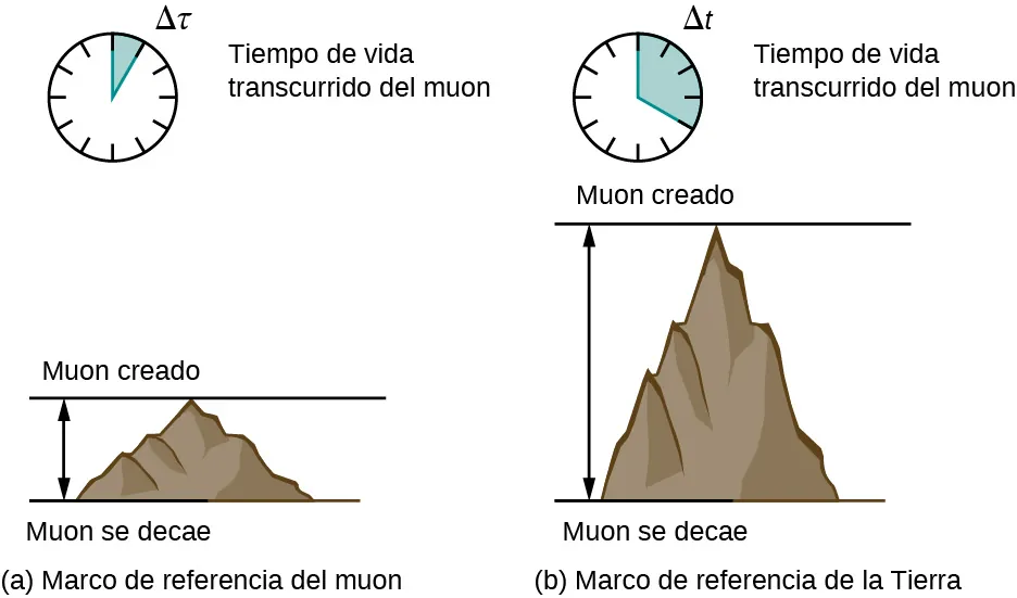 La figura a, titulada “Marco de referencia del muón” muestra un diagrama de un reloj analógico con un intervalo de tiempo sombreado y marcado como delta tau. El reloj está marcado como “Tiempo transcurrido de vida del muón”. Debajo del reloj hay un dibujo de una montaña. Una línea horizontal a la altura de la cima de la montaña está marcada como “Muón creado”. Una línea horizontal en la base de la montaña esta marcada como "Muon decae". Una flecha vertical de doble punta indica la distancia vertical entre estas líneas. La figura b se titula “Marco de referencia de la Tierra”. Muestra un diagrama de un reloj analógico con un intervalo de tiempo sombreado y marcado como delta t. El intervalo sombreado de la figura b es mayor que el de la figura a. El reloj está marcado como “Tiempo transcurrido de vida del muón”. Debajo del reloj hay un dibujo de una montaña más alta que la de la figura a. Una línea horizontal a la altura de la cima de la montaña está marcada como “Muón creado”. Una línea horizontal en la base de la montaña esta marcada como "Muon decae". Una flecha vertical de doble punta indica la distancia vertical entre estas líneas.