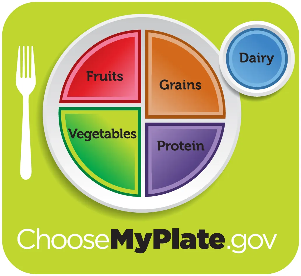 Healthy diet logo shows a plate divided into four sections, labeled fruits; vegetables; grains; and protein. The vegetables and grains sections are larger than the other two. A circle to the side of the plate is labeled dairy. Beneath the plate is the web address, which reads Choose My Plate dot gov.