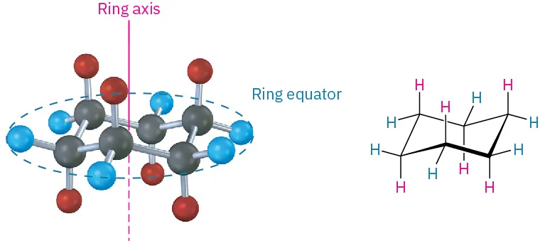The ball and stick model and chemical structure of chair cyclohexane. Axial hydrogens (red) are parallel to the ring axis and equatorial hydrogens (blue) are in the ring equator.