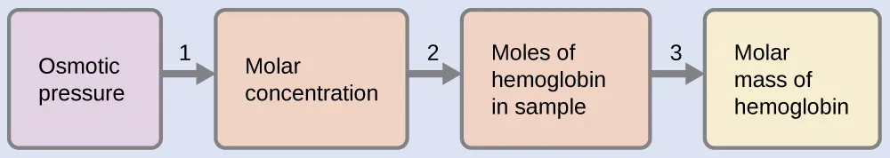 This is a diagram with four boxes oriented horizontally and linked together with arrows numbered 1 to 3 pointing from each box in succession to the next one to the right. The first box is labeled, “Osmotic pressure.” Arrow 1 points from this box to a second box labeled, “Molar concentration.” Arrow 2 points from this box to to a third box labeled, “Moles of hemoglobin in sample.” Arrow labeled 3 points from this box to a fourth box labeled, “Molar mass of hemoglobin.”