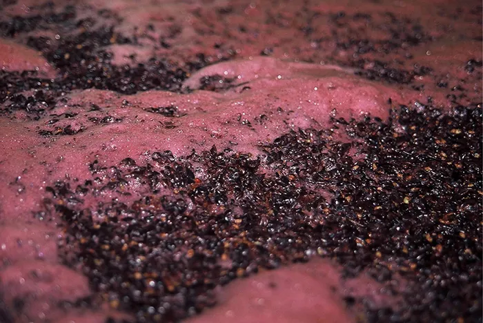 A photo of a purplish-brown foamy, brownie-like substance.