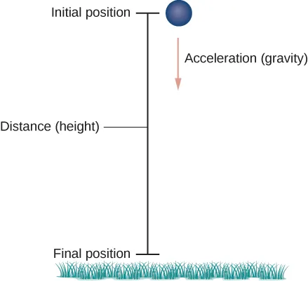 This figure is a ball falling in a vertical path. The ball is at the top at the initial position. From the ball a vector is drawn vertically downward labeled “acceleration”. The vertical line is labeled “distance”. At the bottom of the line it is labeled “final position”. There is also grass at the bottom of the figure.