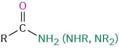The structure of an amide where an R group and an amino groups are connected to a carbonyl carbon.