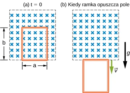 Rysunek (a) przedstawia pole z krzyżykami w środku. Oznaczone jest t=0. Jest też wyznaczony obszar z równymi szerokościami a i równymi długościami b. Rysunek (b) pokazuje to samo pole z krzyżykami w środku. Jest oznaczone jako "gdy istnieje siatka". Wyznaczony obszar z rysunku a znajduje się pod polem. Są również dwie opadające strzałki oznaczone jako g i v. 
